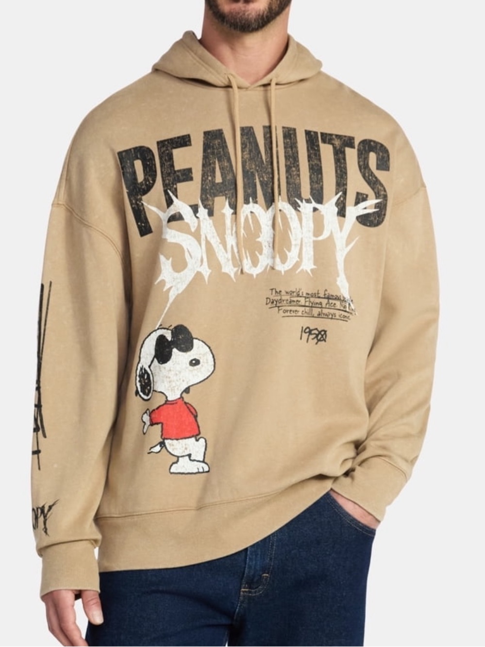 Peanuts Snoopy Men's Graphic Hoodie - Picture 3 of 6